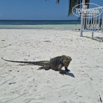 фото из отзыва ID 2700667