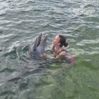 фото из отзыва ID 2700667