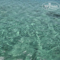 фото из отзыва ID 2708865