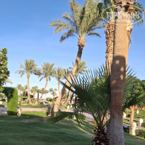 фото из отзыва ID 2708865