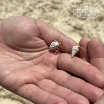 фото из отзыва ID 2708872