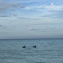 фото из отзыва ID 2708872