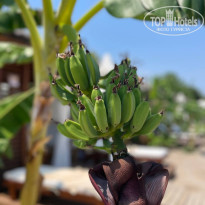 фото из отзыва ID 2708876