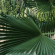 фото из отзыва ID 2708904