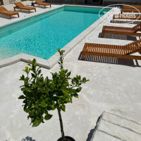 фото из отзыва ID 2708986