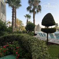 фото из отзыва ID 2708981