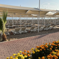 фото из отзыва ID 2708981