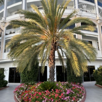 фото из отзыва ID 2708981