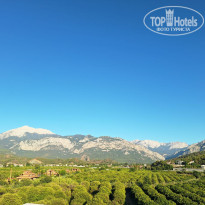 фото из отзыва ID 2709024