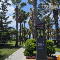 фото из отзыва ID 2709057