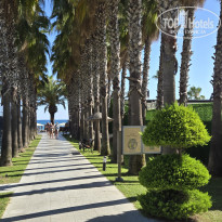 фото из отзыва ID 2709057