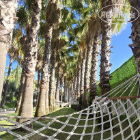 фото из отзыва ID 2709057