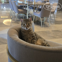 фото из отзыва ID 2709057