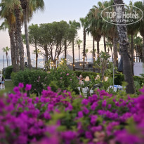 фото из отзыва ID 2709057