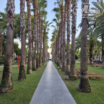 фото из отзыва ID 2709057