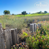 фото из отзыва ID 2709096