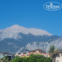 фото из отзыва ID 2709102