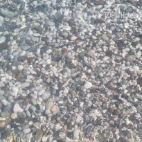 фото из отзыва ID 2709102