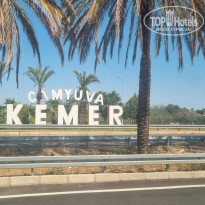 фото из отзыва ID 2709102