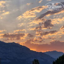 фото из отзыва ID 2709102