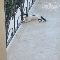 фото из отзыва ID 2709102