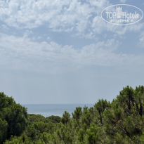 фото из отзыва ID 2709124