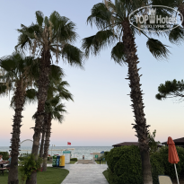 фото из отзыва ID 2709124