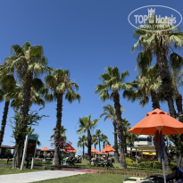 фото из отзыва ID 2709124