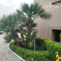 фото из отзыва ID 2709145