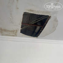 фото из отзыва ID 2709211