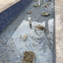 фото из отзыва ID 2709211