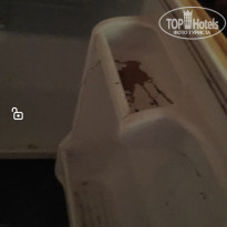 фото из отзыва ID 2709230