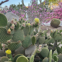 фото из отзыва ID 2709235