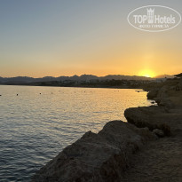 фото из отзыва ID 2709235