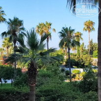 фото из отзыва ID 2709245