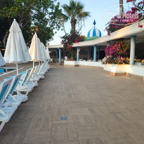 фото из отзыва ID 2709245