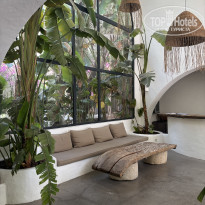 фото из отзыва ID 2709267