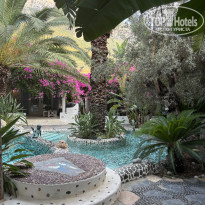 фото из отзыва ID 2709267