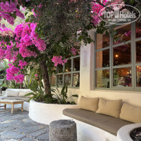 фото из отзыва ID 2709267