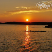 фото из отзыва ID 2709273