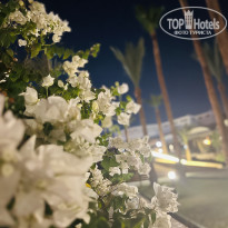 фото из отзыва ID 2709312