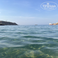 фото из отзыва ID 2709312