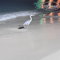 фото из отзыва ID 2709326