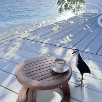 фото из отзыва ID 2709326