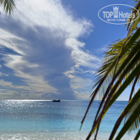 фото из отзыва ID 2709326