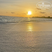 фото из отзыва ID 2709326