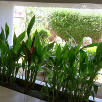 фото из отзыва ID 2709011