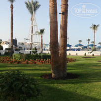 фото из отзыва ID 2709011