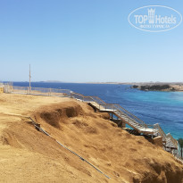 фото из отзыва ID 2709011