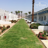 фото из отзыва ID 2709011